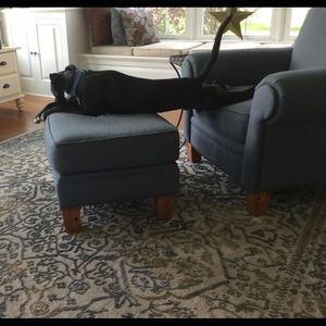 Meet your Posher, Lori